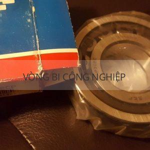 SKF NUP308ECP