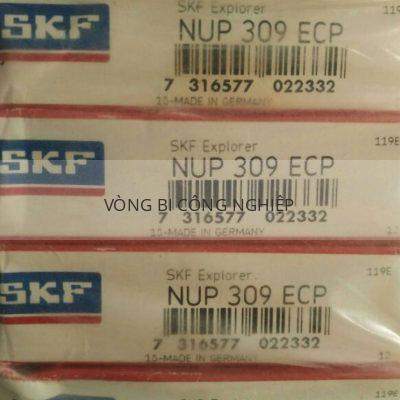 SKF NUP309ECP_2