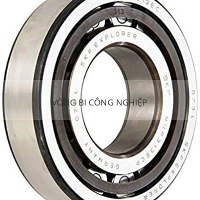 SKF NUP313ECP