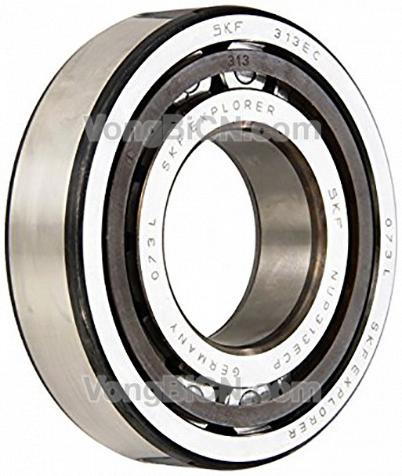 SKF NUP313ECP