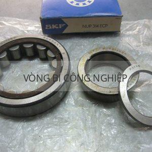 SKF NUP314ECP