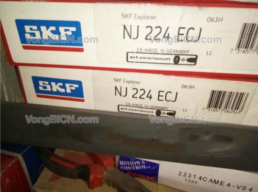 SKF NJ224ECJ_2