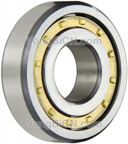 SKF NJ422