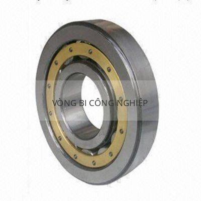 SKF NU424ECM