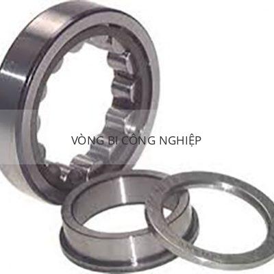 SKF NUP221ECP