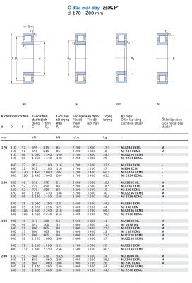 Ổ đũa một dãy SKF d 170 – 200 mm NU NJ NUP N 234 2234 334 2334 1036 236 2236 336 2336 1038 238 2238 338 2338 1040 240 2240 ECML ECM ML Catalog