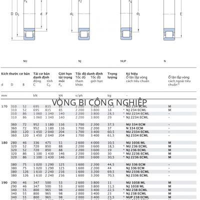 Ổ đũa một dãy SKF d 170 – 200 mm NU NJ NUP N 234 2234 334 2334 1036 236 2236 336 2336 1038 238 2238 338 2338 1040 240 2240 ECML ECM ML Catalog