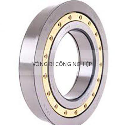 SKF NJ2252