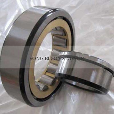 SKF NJ2334ECM