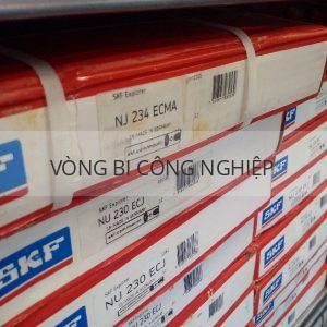 SKF NJ234ECMA