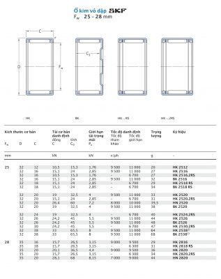 Ổ kim vỏ dập SKF Fw 25 – 28 mm HK HN BK 2512 2516 2518 2520 2524 2526 2530 2538 2816 2818 2820 RS 2RS Catalog