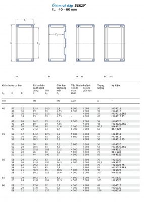 Ổ kim vỏ dập SKF Fw 40 – 60 mm HK HN BK 4012 4016 4018 4020 4512 4516 4518 4520 4525 5020 5022 5024 5025 5520 5528 6012 6020 6032 RS 2RS Catalog