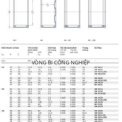 Ổ kim vỏ dập SKF Fw 40 – 60 mm HK HN BK 4012 4016 4018 4020 4512 4516 4518 4520 4525 5020 5022 5024 5025 5520 5528 6012 6020 6032 RS 2RS Catalog