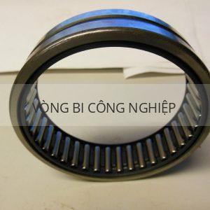 SKF NK 80/25