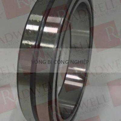 SKF RNA 4860