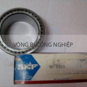 SKF RNA 6919