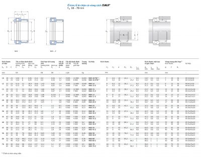 Cụm ổ kim và ổ bi chặn SKF Fw 10 – 70 mm NKX 10 12 15 17 20 25 30 35 40 45 50 60 70 TN ZTN Z Catalog