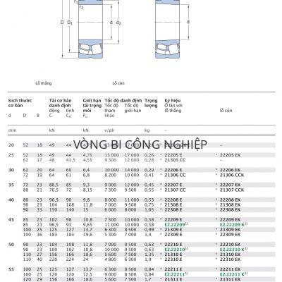 Ổ tang trống SKF d 20 – 60 mm 22205/20 22205 21305 22206 21306 22207 21307 22208 21308 22308 22209 21309 22309 22210 21310 22310 22211 21311 22311 22212 21312 22312 E EK CC CCK Catalog