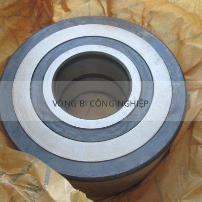 SKF NNTR 5013065