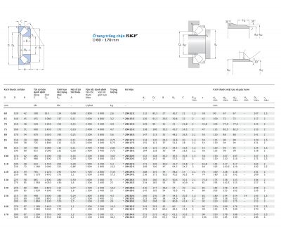 Ổ tang trống chặn SKF d 60 – 170 mm 29412 29413 29414 29415 29416 29317 29417 29318 29418 29320 29420 29322 29422 29324 29424 29326 29426 29328 29428 29230 29330 29430 29332 29432 29334 29434 E Catalog