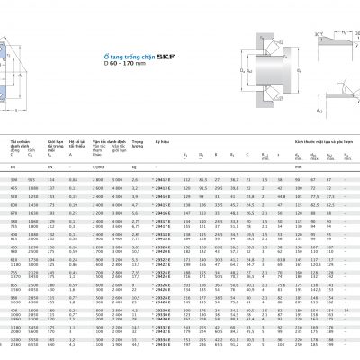 Ổ tang trống chặn SKF d 60 – 170 mm 29412 29413 29414 29415 29416 29317 29417 29318 29418 29320 29420 29322 29422 29324 29424 29326 29426 29328 29428 29230 29330 29430 29332 29432 29334 29434 E Catalog