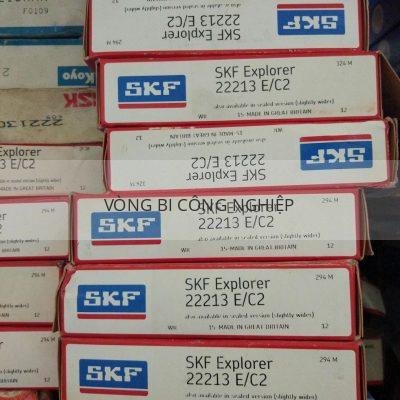 SKF 22213 E/C2