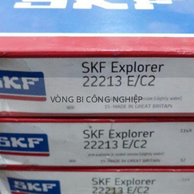 SKF 22213EC2