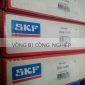 SKF 23126 CC/W33