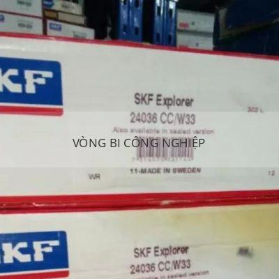 SKF 24036CC/W33